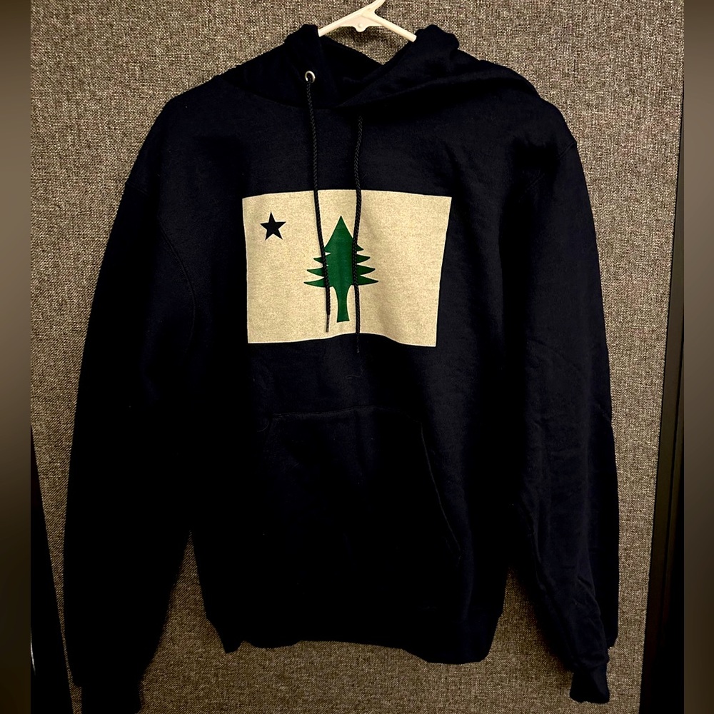 Champion pull over hoodie tree and star design size small